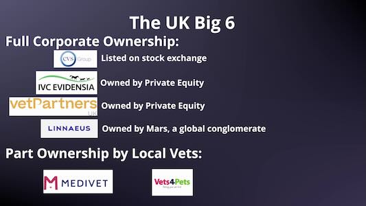 UK Big 6 Ownership