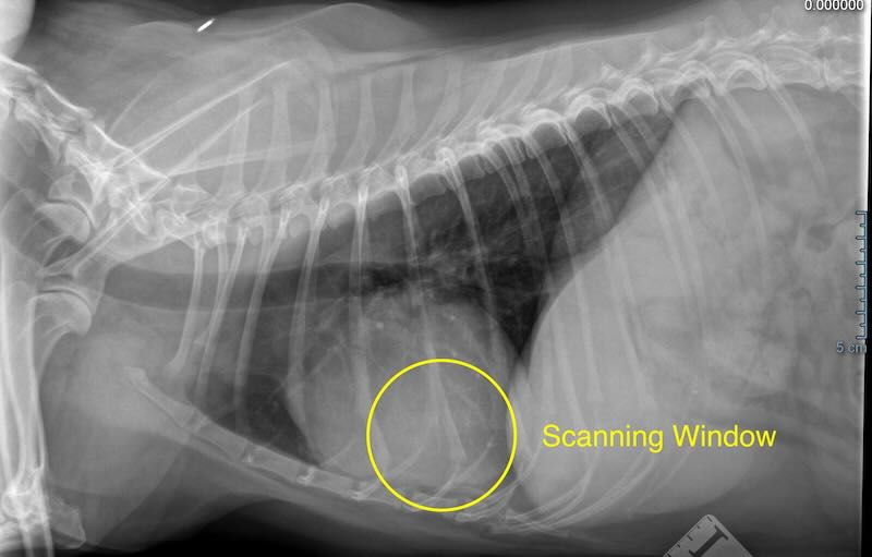 Scanning window